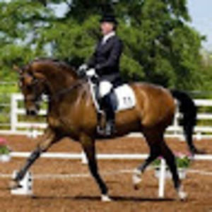 Meet your Posher, William